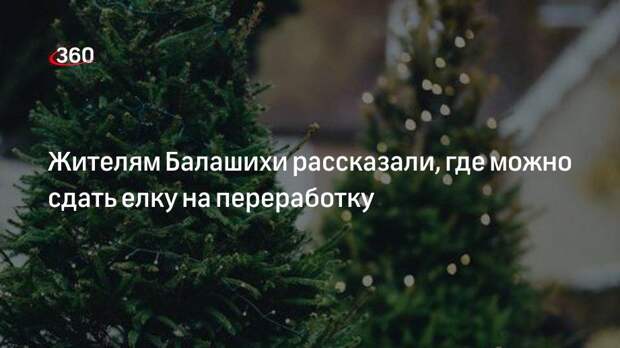 Жители Балашихи смогут сдать натуральные ели на переработку в двух пунктах