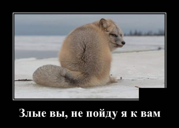 Демотиваторы (30 фото)