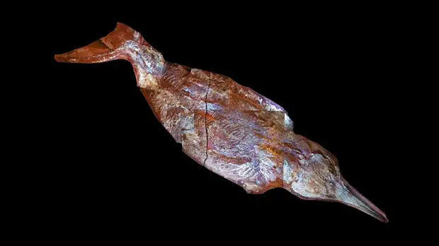 Ученые считают, что нашли останки крупнейшего существа в мире