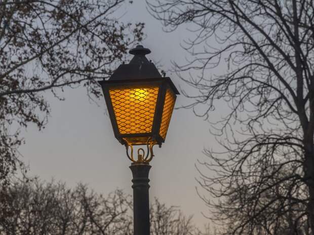 Более 80 новых фонарей появится в Молжаниновском