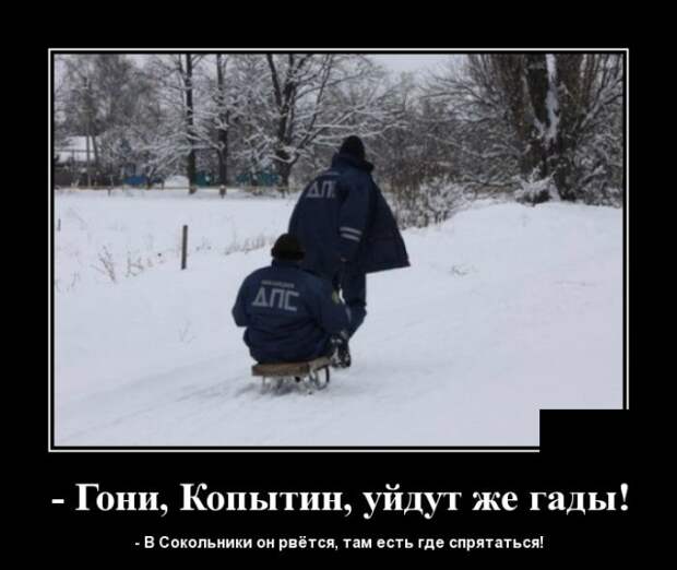 Самые новые демотиваторы (30 фото)