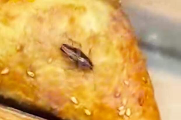 Ползающее по выпечке животное сняли на видео в магазине «Дикси» в Москве