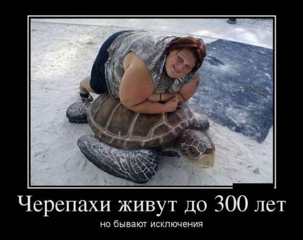 Демотиваторы. Подборка chert-poberi-chert-poberi-06230805052020-6 картинка chert-poberi-06230805052020-6