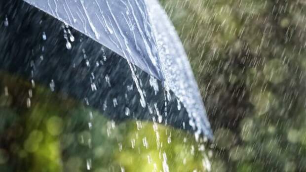 В Москву и область 1 августа вернутся ливни с грозами и сильным ветром