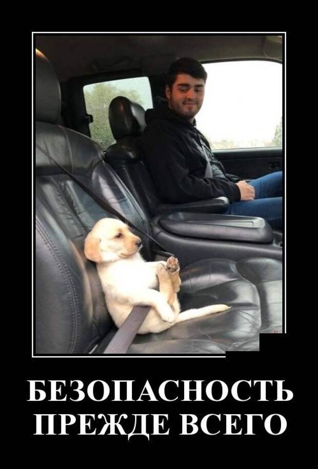 Мадам, приглашаю вас выпить коробочку вина! Мадам, приглашаю вас выпить коробочку вина!