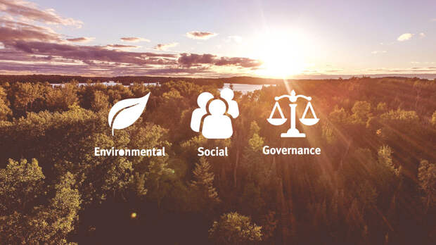 E+ Change и Школа управления СКОЛКОВО запустили бесплатный онлайн-курс по устойчивому маркетингу
