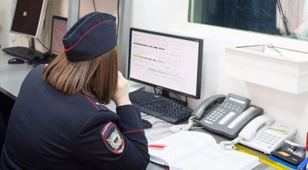 полиция, МВД, мосру, 0602