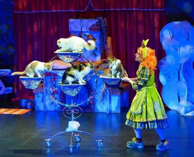 Кошки против королевства микробов: что покажет театр Юрия Куклачёва в Крыму
