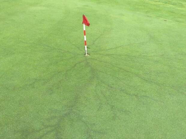 Молния ударила прямо в металлическую часть флажка для гольфа в мире, вещи, подборка, познавательно, удивительно