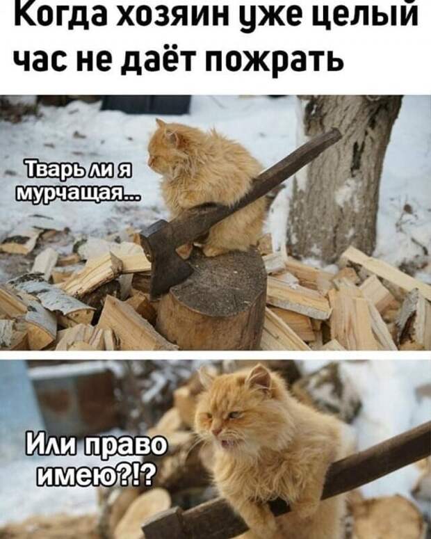 Заметки и комментарии, которые вас точно повеселят Заметки и комментарии, которые вас точно повеселят