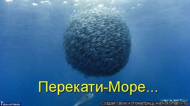 Мысли вслух :)