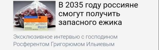 S12 смешных заголовков от гуглпереводчика
