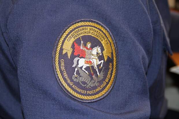 Трагедия на дороге: водителя, сбившего насмерть семилетнего мальчика в Чучковском районе Рязанской области, отправили под арест