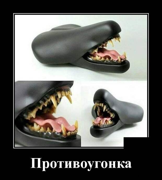 Демотиваторы (30 фото)