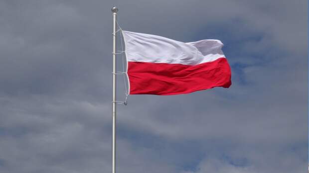 Несколько десятков тысяч граждан вышли на протест польской оппозиции в Варшаве