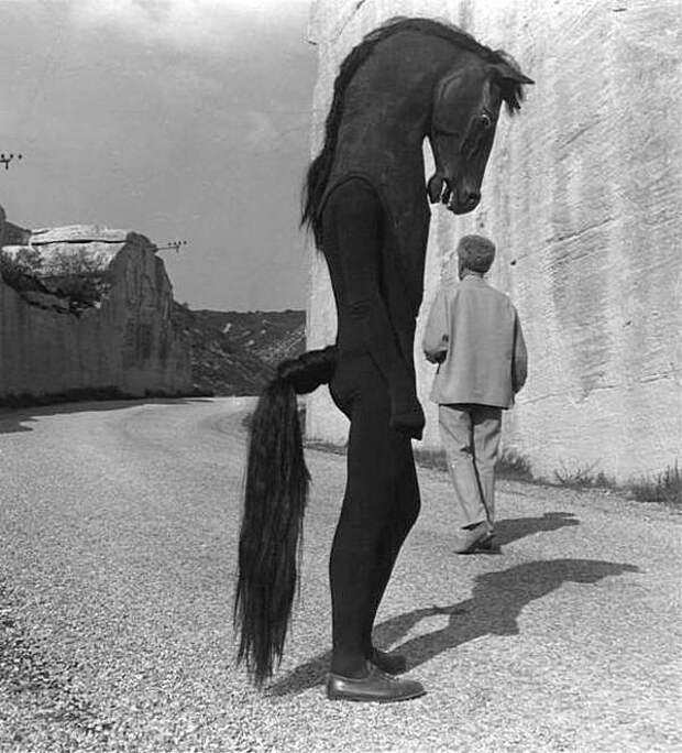 Мужчина в костюме лошади, Греция, 1961 год. ("Да, чёт взгрустнулось...") история, черно-белая фотография, юмор