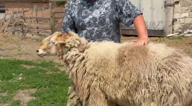 Фото: lyubimiigorod.ru