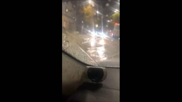 Video: VivaCut_video_1732825440770_HD.mp4