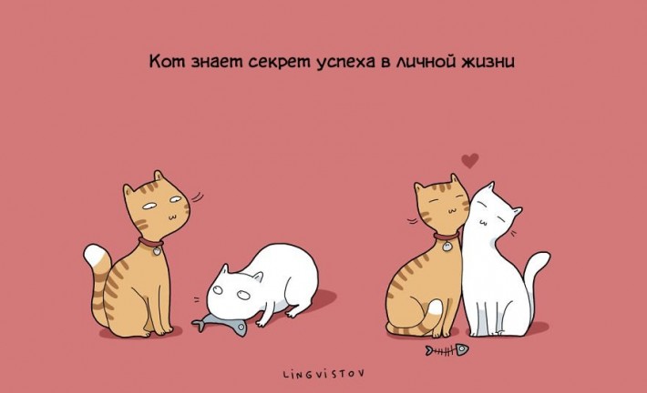 Преимущества жизни с котом