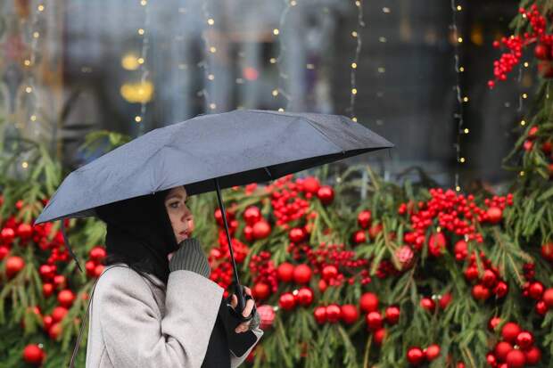 Назван срок прихода дождей в Москву
