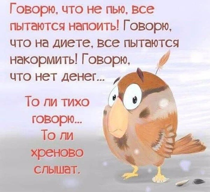 Прекрасные шутки в нашей подборке