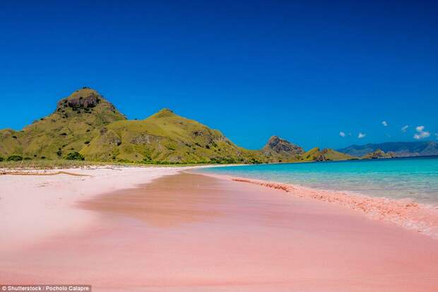 Пляжи с розовым песком: в чём их секрет?