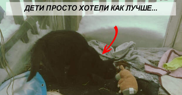 FotorCreated