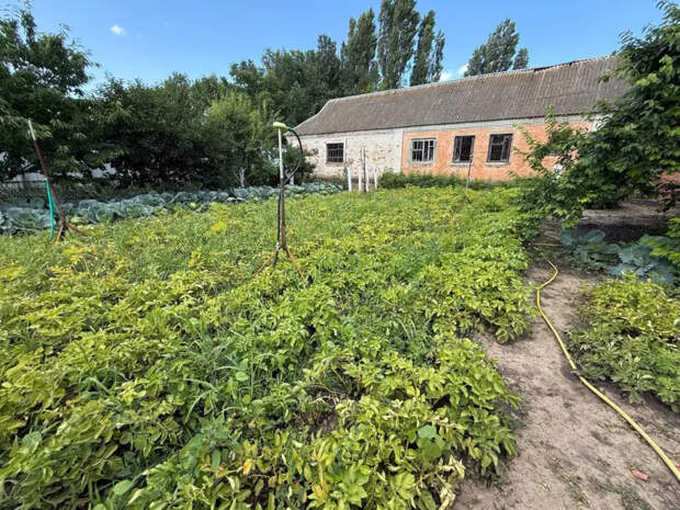 Что обязательно нужно сделать в огороде в первую декаду мая: 7 дел, которые нельзя отложить