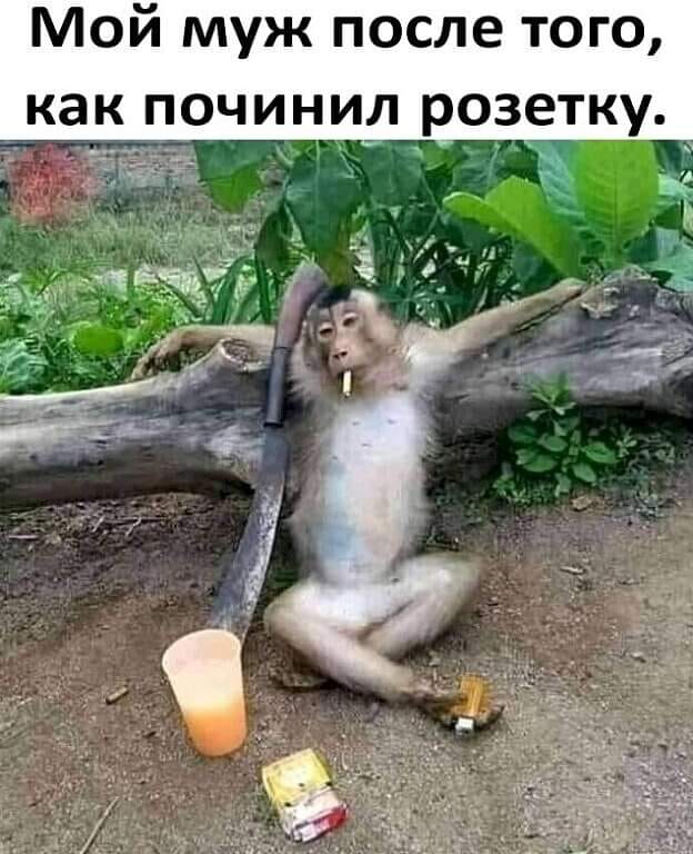 Какая-то симпатичная китайская пара подарила мне видеокамеру...