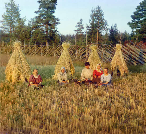 На жнитве. 1909 год