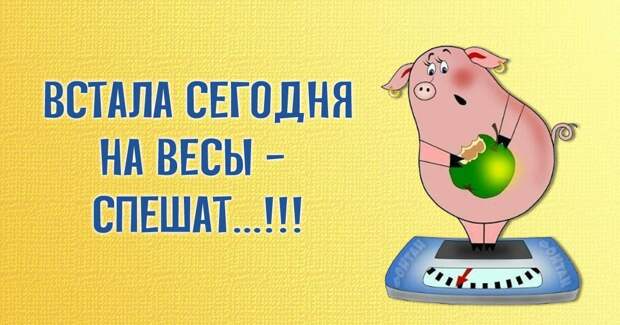 Несколько весёлых анекдотов для отличного настроения