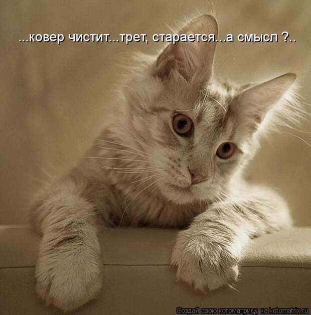 Мысли вслух :)