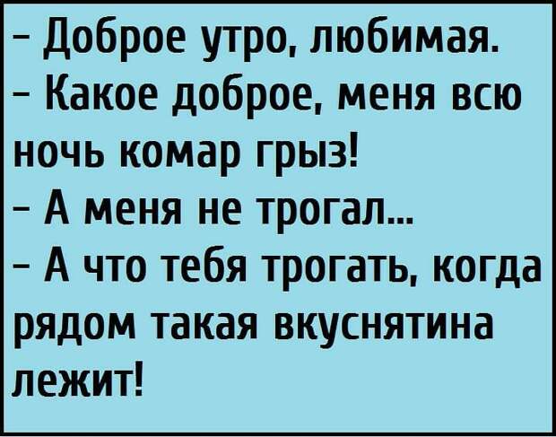 Несколько весёлых анекдотов для отличного настроения