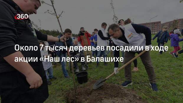 Около 7 тысяч деревьев посадили в ходе акции «Наш лес» в Балашихе