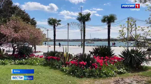  В Ялте полным ходом идут работы по благоустройству пляжей и набережной