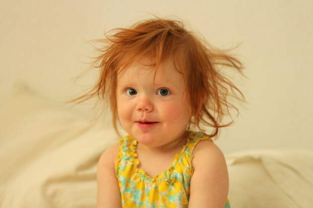 Фото: Freddy Olsson/flickr.com