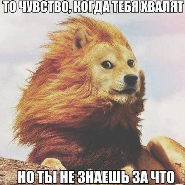 M-YWwCjtpK0