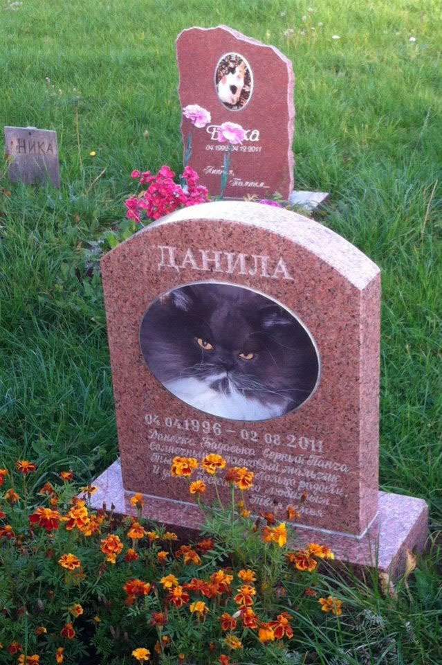 Кладбище домашних животных Кладбище домашних животных, грызуны, кошечки, попугайчики, собачки, фоторепортаж