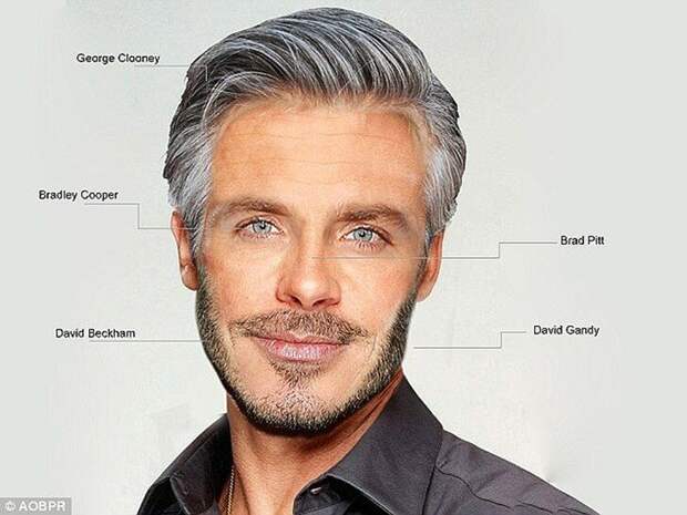 Лицо идеального мужчины, составленное из частей лиц знаменитых красавцев Голливуда