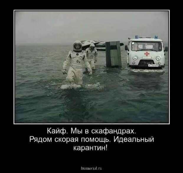 Прикольные демотиваторы с надписями. Подборка chert-poberi-dem-chert-poberi-dem-24120412112020-7 картинка chert-poberi-dem-24120412112020-7