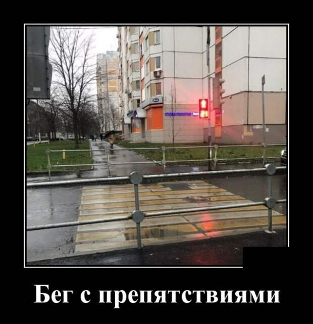 Демотиваторы (30 фото)
