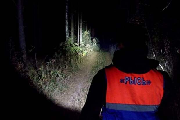 Более 1500 пропавших человек нашли в Нижегородской области в прошлом году