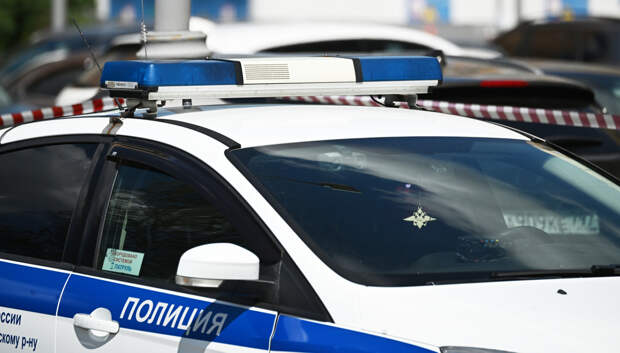 Названы улики в деле похитителя девятилетней школьницы