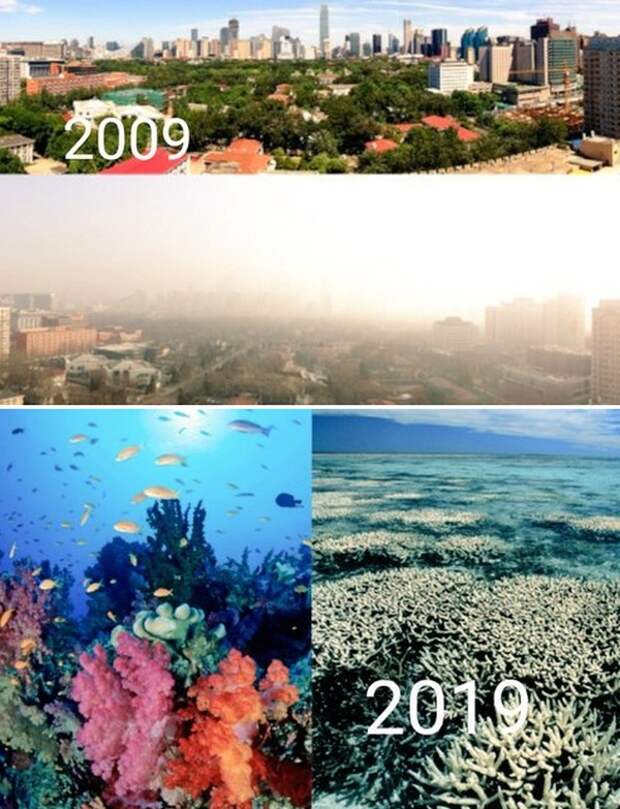 Климатические изменения от экологических организаций в стиле 10YearChallenge