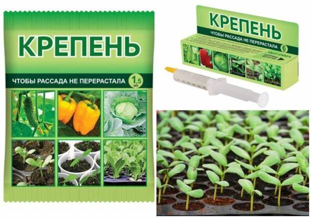 препарат крепень чтобы рассада не перерастала