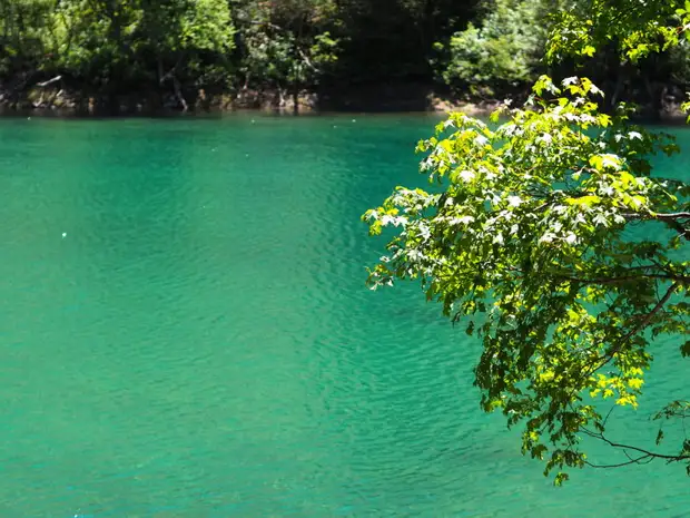 Горный Домбай: 5 маршрутов для новичков