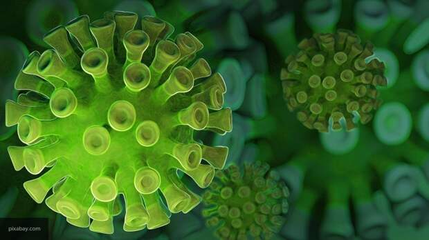 Пандемия коронавируса: самое важное за 14 июня