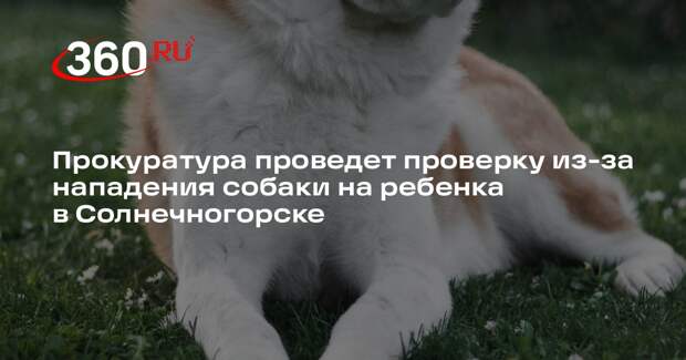 Прокуратура проведет проверку из-за нападения собаки на ребенка в Солнечногорске