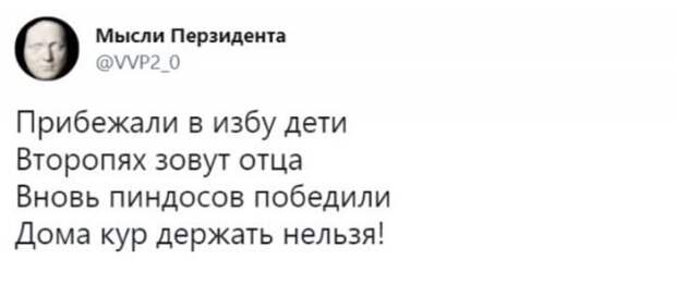 Шутки и мемы о запрете разводить кур в садах и огородах