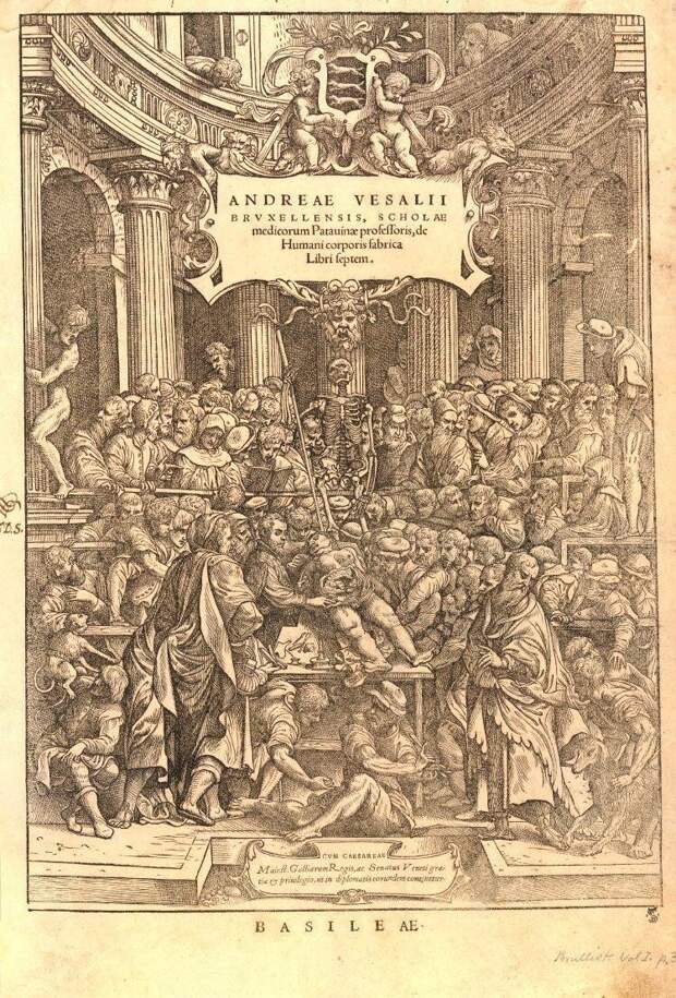 Представление в анатомическом театре, 1543 год.